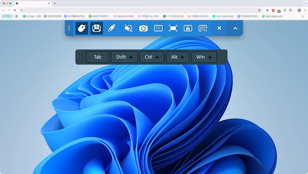 Web Browser-Based